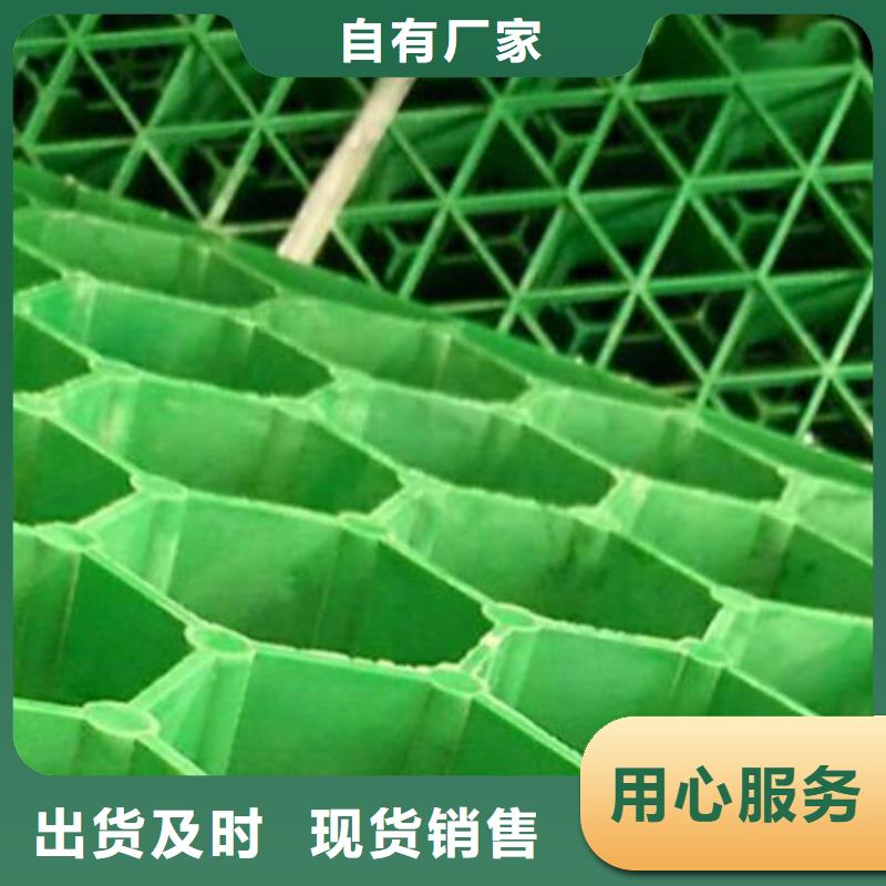 植草格本地公司