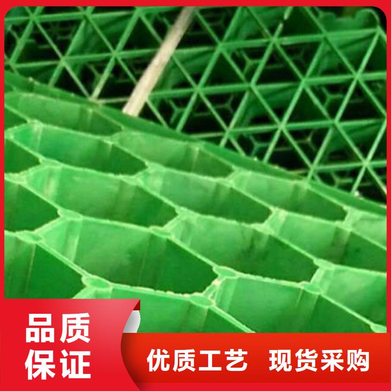 植草格源头发货