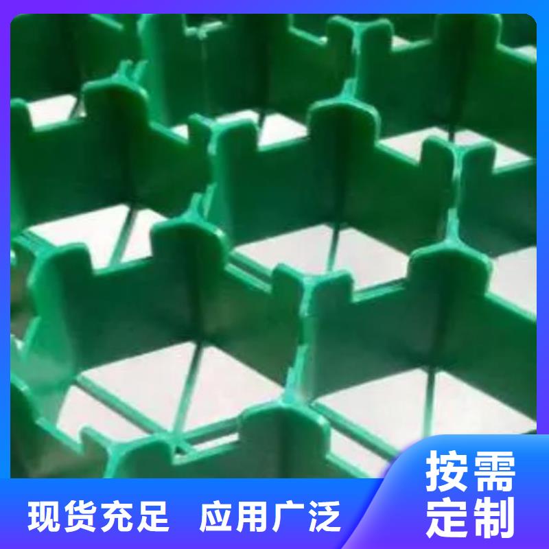 塑料植草格-规格全