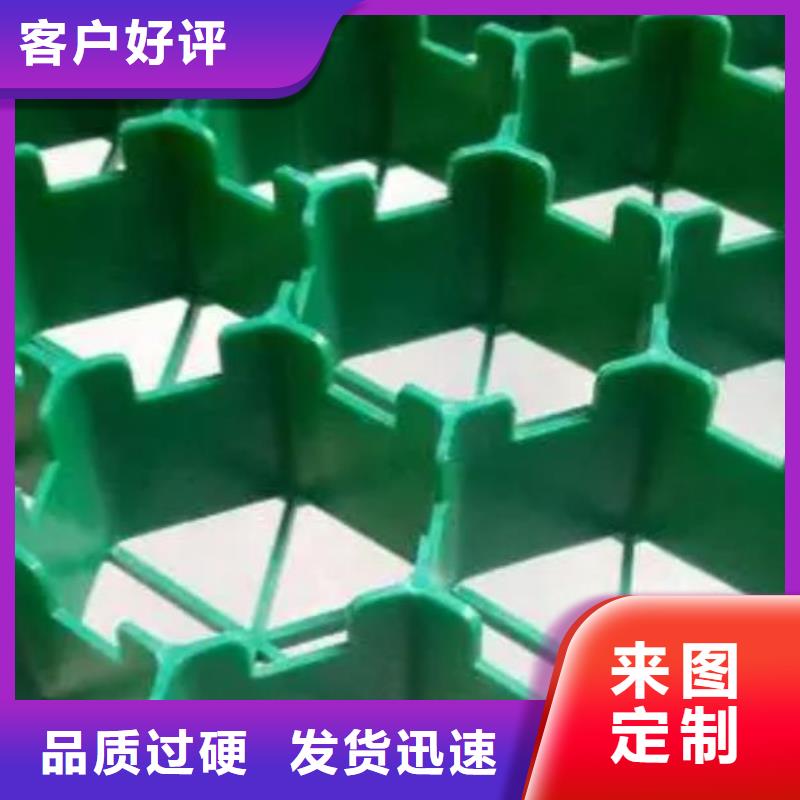 塑料植草格价格行情