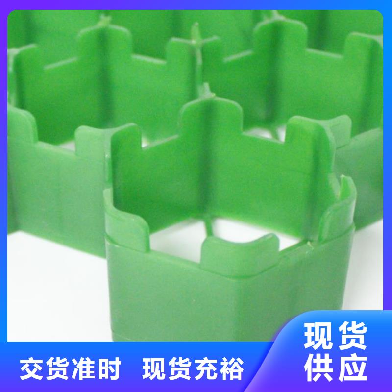 塑料植草格厂家供应