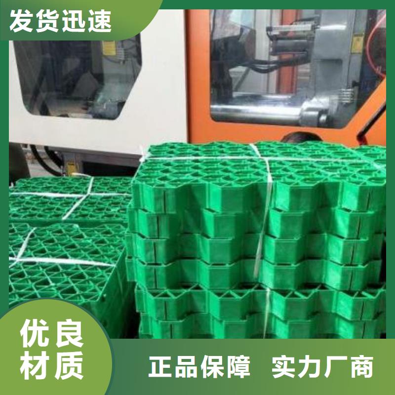 停车场植草格-山东朋联工程