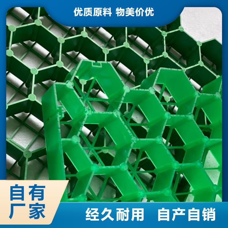 塑料植草格朋联工程-厂家直销