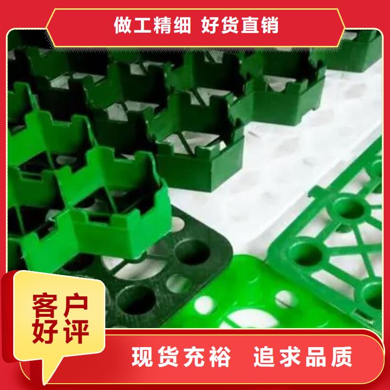 植草格生产厂家*价格