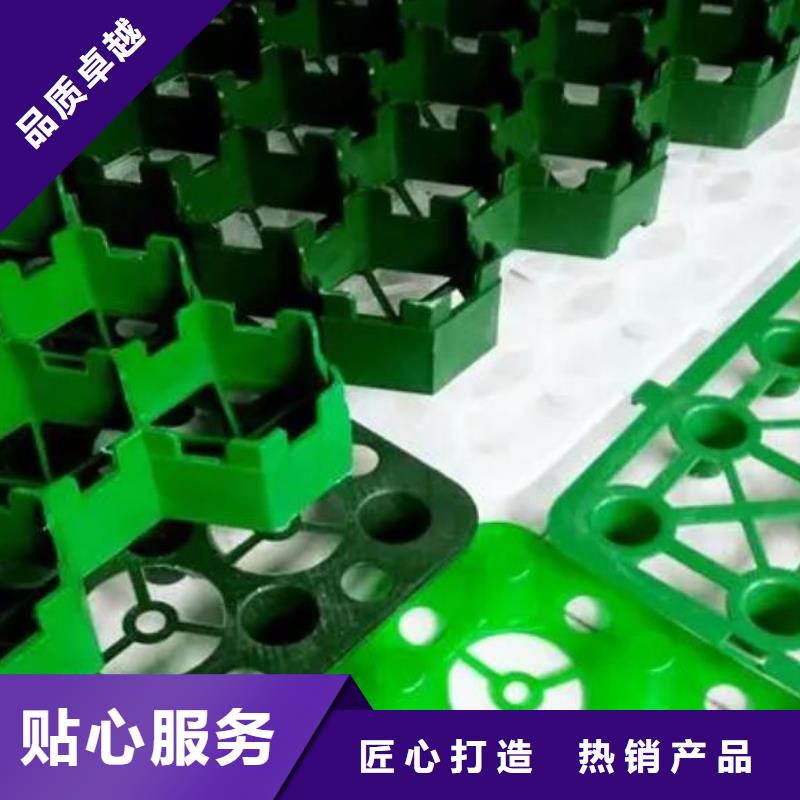 塑料植草格供应
