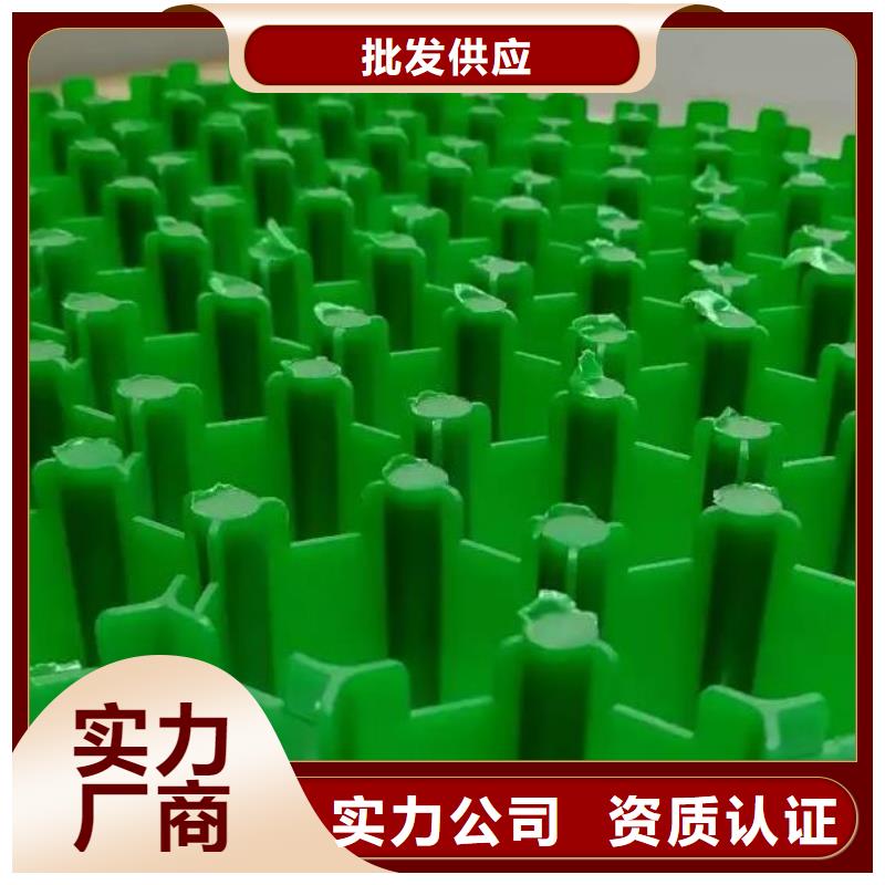 植草格-实业集团