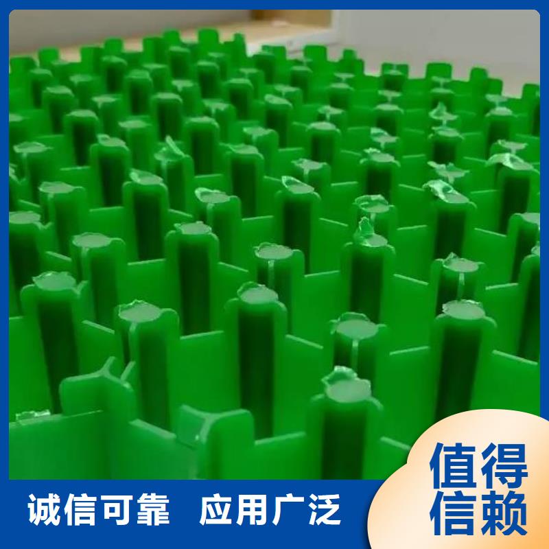 植草格-防护虹吸排水收集系统生产经验丰富