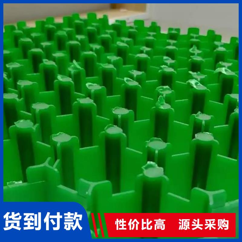植草格源头发货