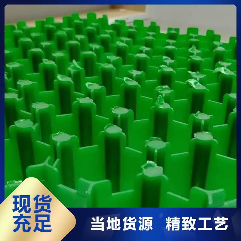 植草格,排水板好品质用的放心