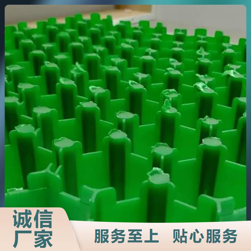 植草格厂家-停车场植草格实业公司