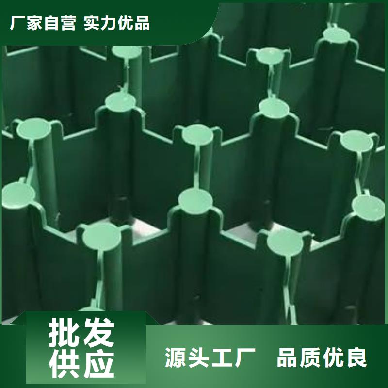 塑料植草格型号全都有