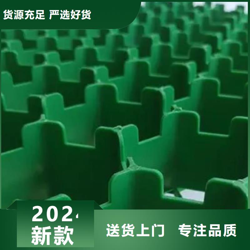 塑料植草格厂家供应