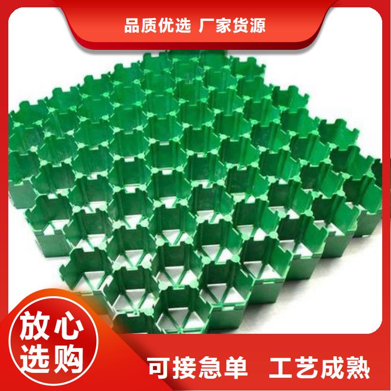 塑料植草格批发-行情价