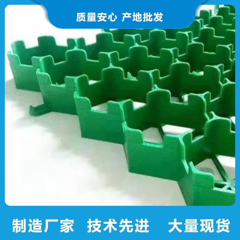 塑料植草格-规格全