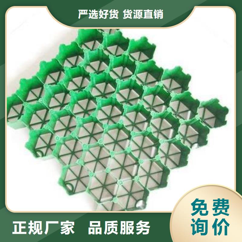 塑料植草格型号全都有