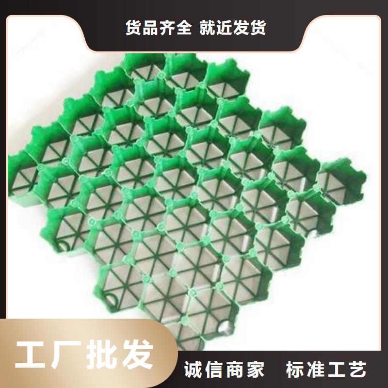 塑料植草格-行情价