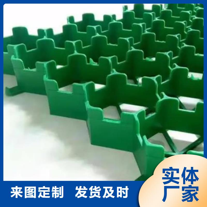 植草格厂家代理商