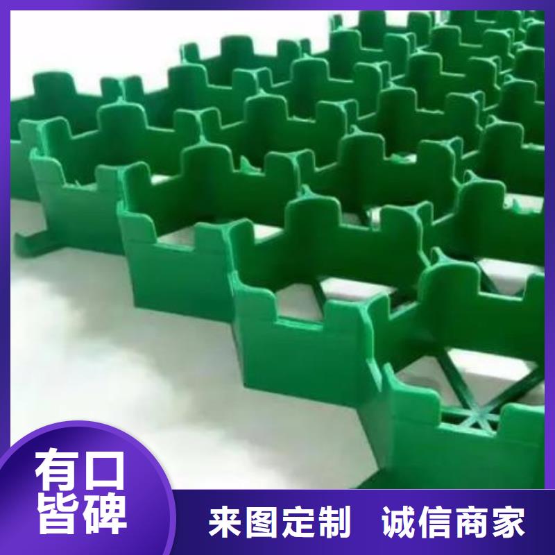植草格厂家-批发零售价