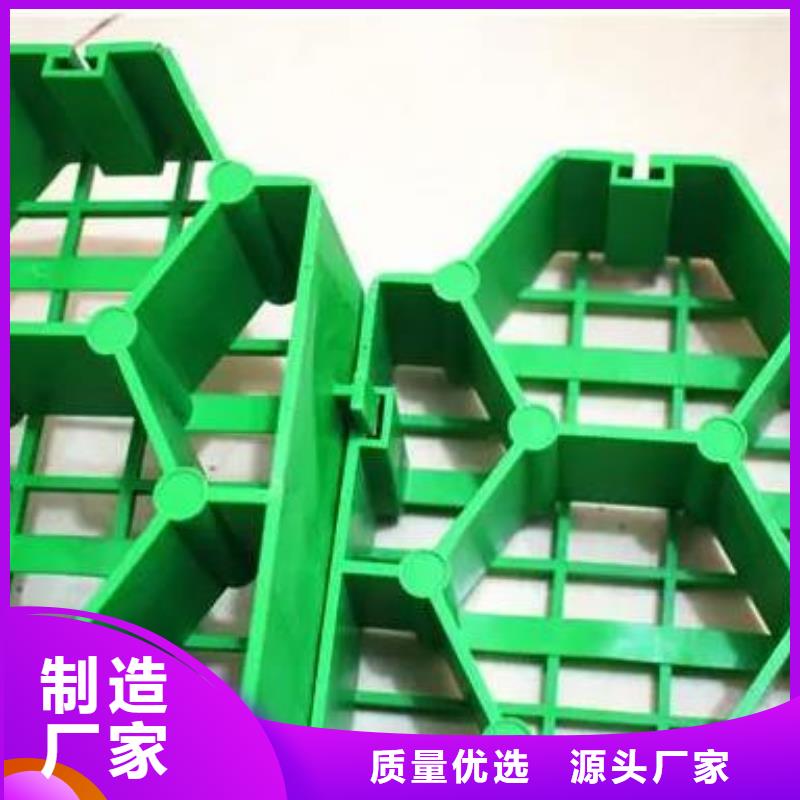 塑料植草格厂家代理商