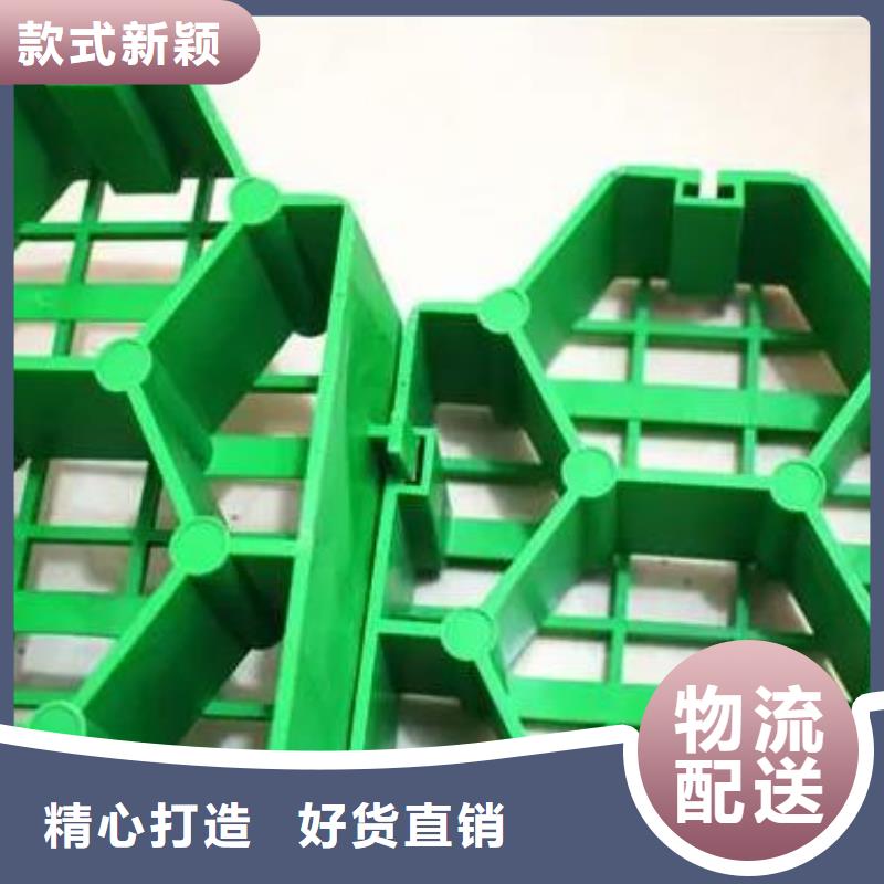 塑料植草格-联系方式