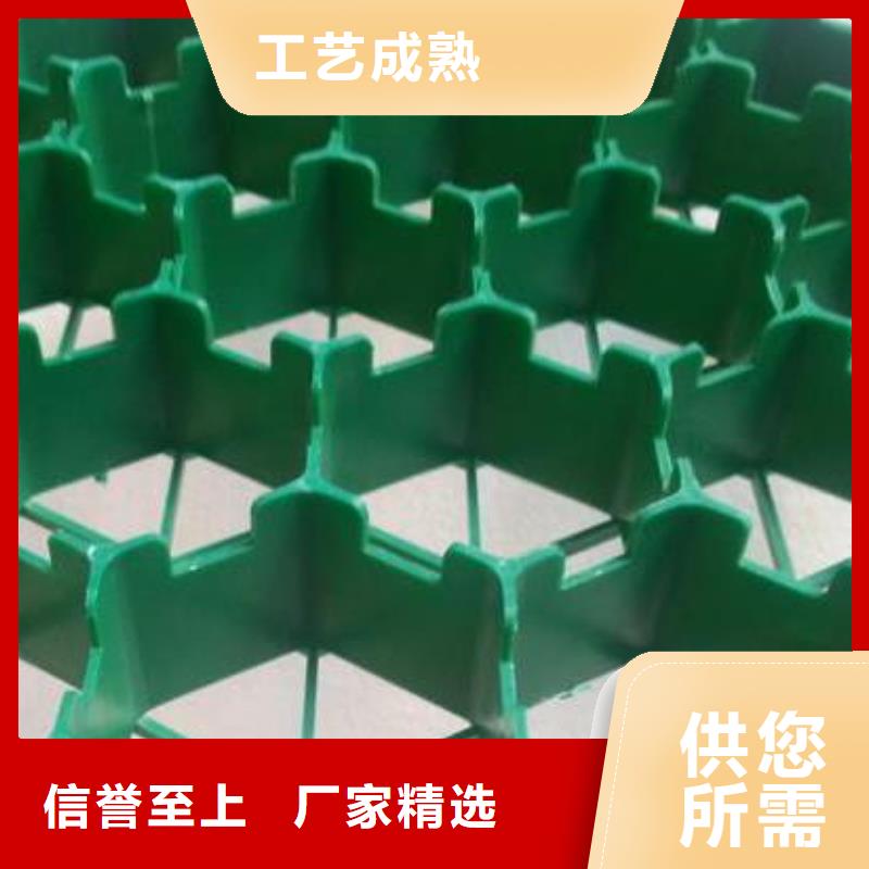 塑料植草格*生产厂家