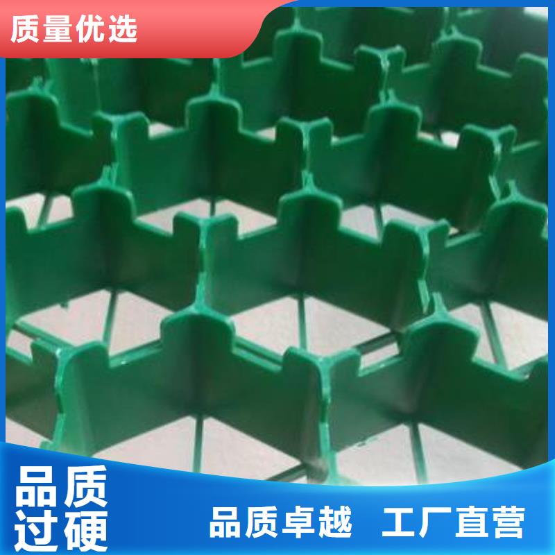 植草格厂家价格多少