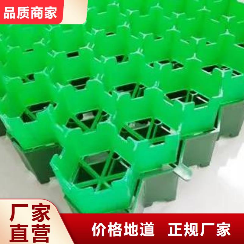 消防通道植草格货源