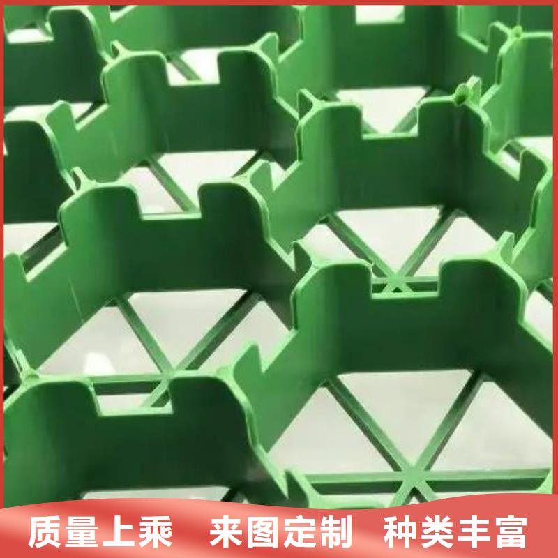 塑料植草格批发-行情价