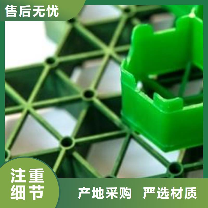 植草格型号全都有