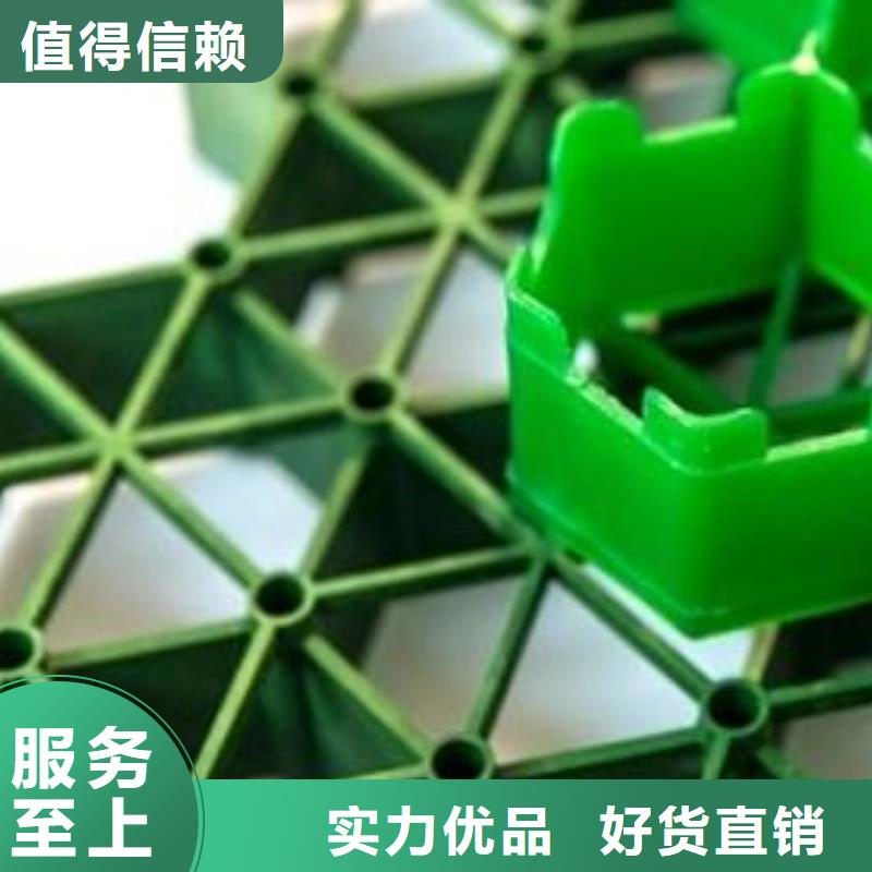 植草格厂家-批发价