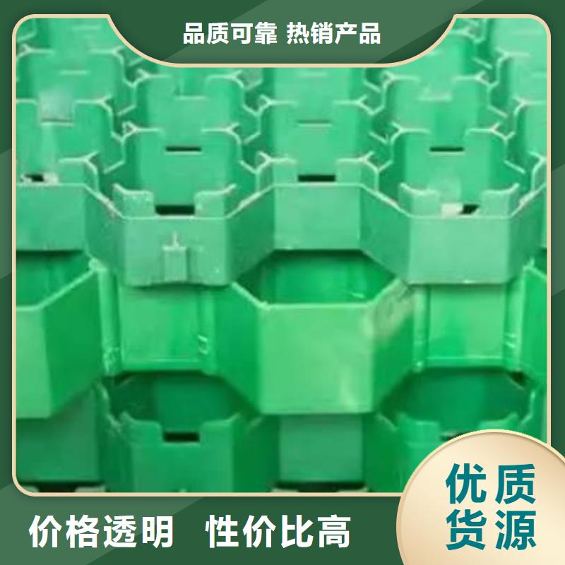 植草格生产厂家*价格
