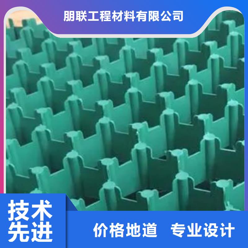塑料植草格-消防通道植草格厂家