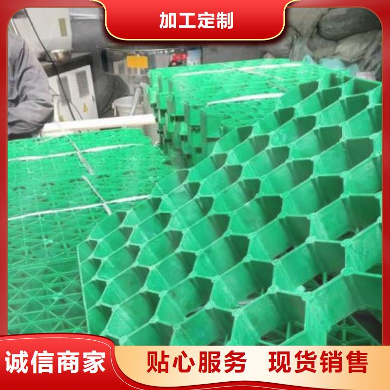 植草格-防护虹吸排水收集系统生产经验丰富