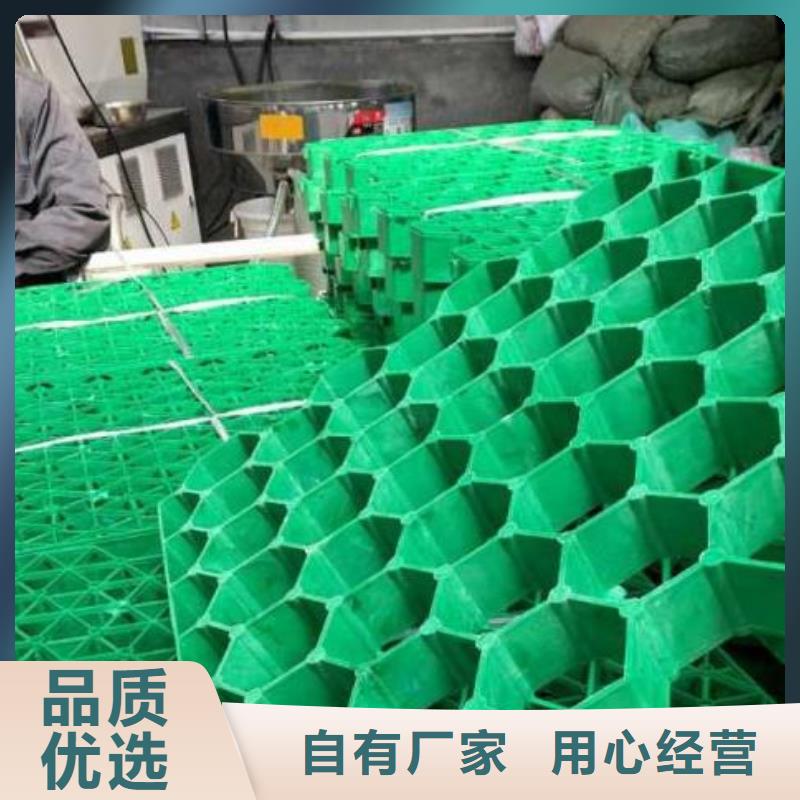 停车场植草格-山东朋联工程