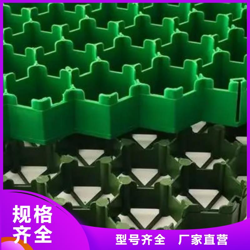 塑料植草格-联系方式