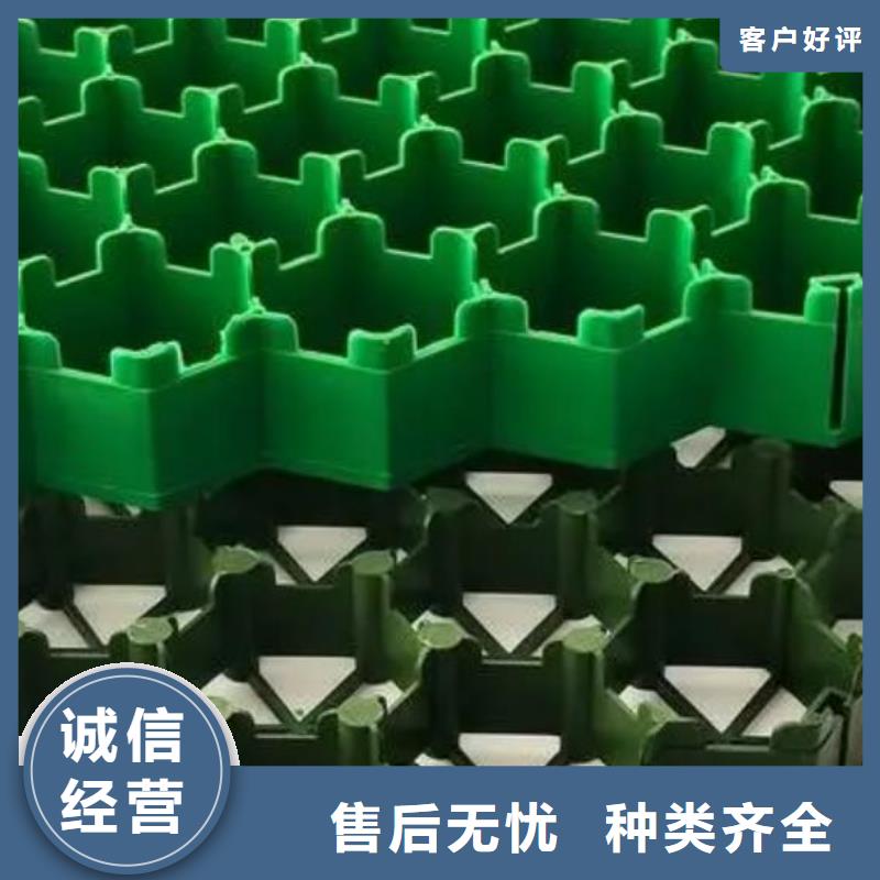 植草格本地公司