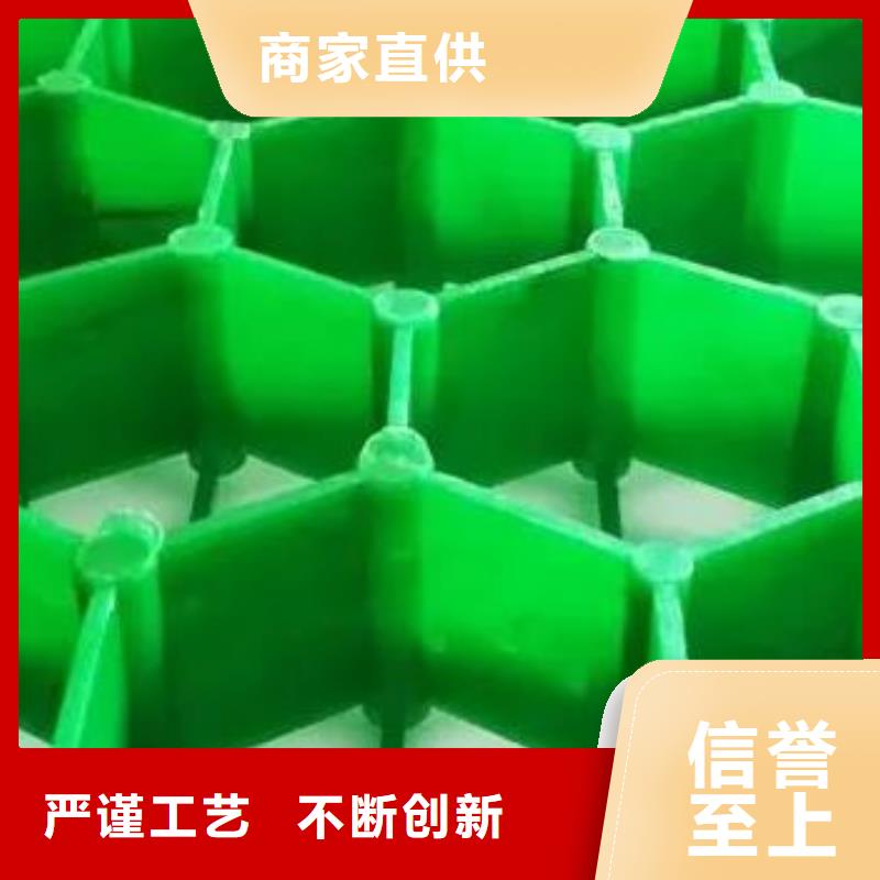 塑料植草格-联系方式