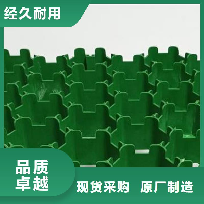 塑料植草格厂家供应