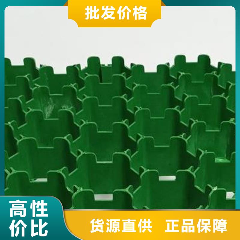 塑料植草格有限公司