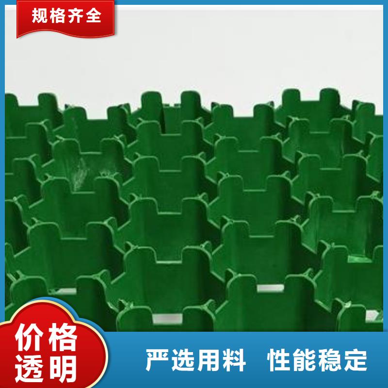 消防通道植草格信息