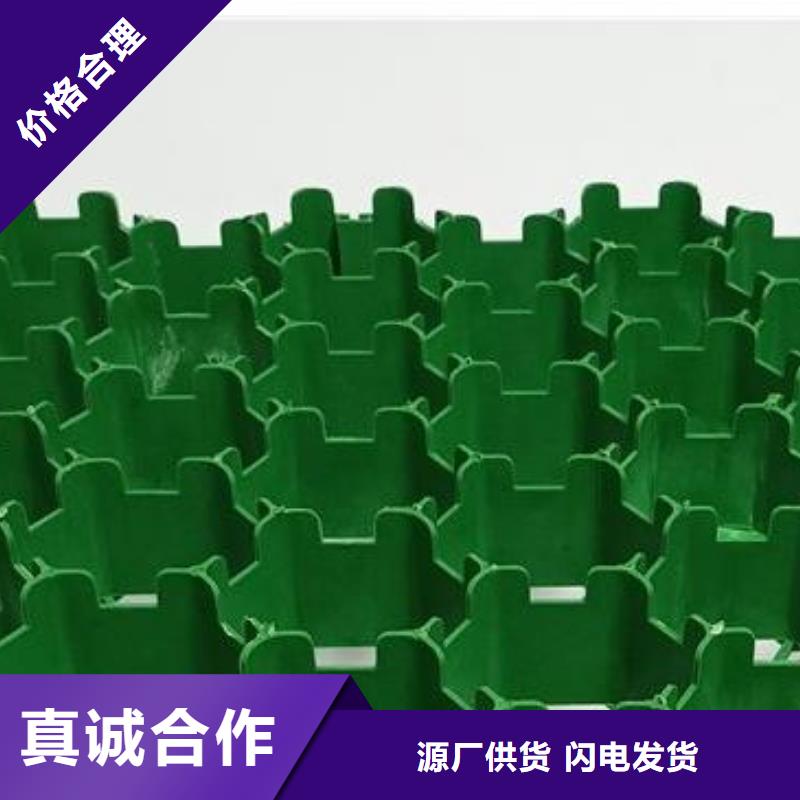 塑料植草格-实业集团