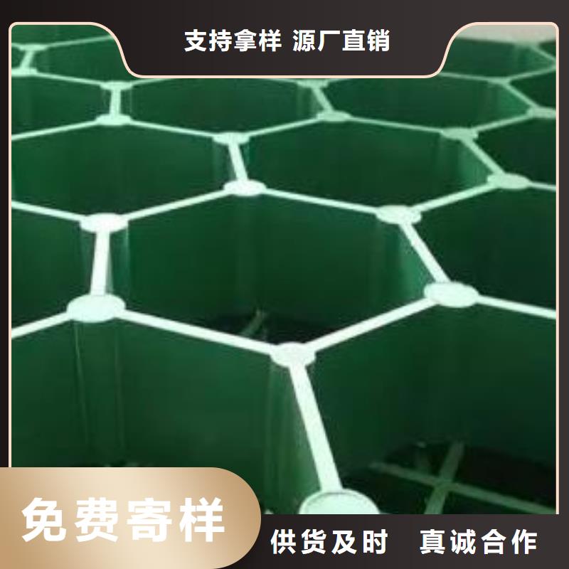塑料植草格价格行情
