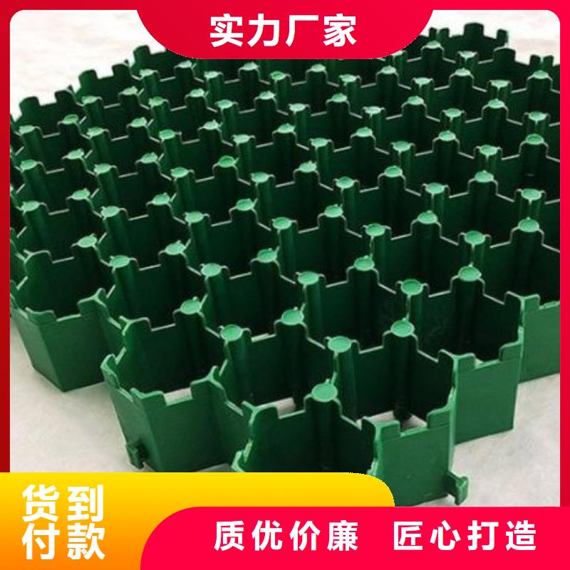 塑料植草格本地工厂@直营中