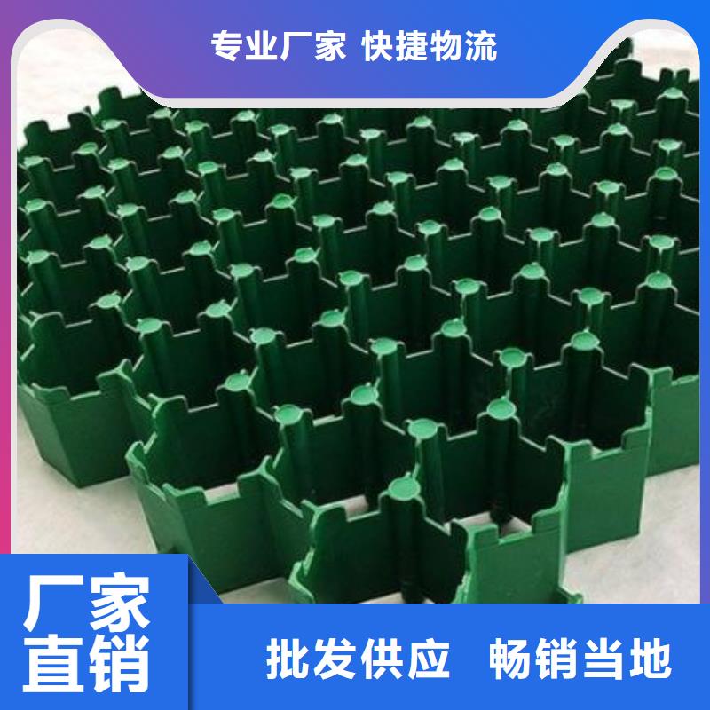 塑料植草格朋联工程材料有限公司厂家直营