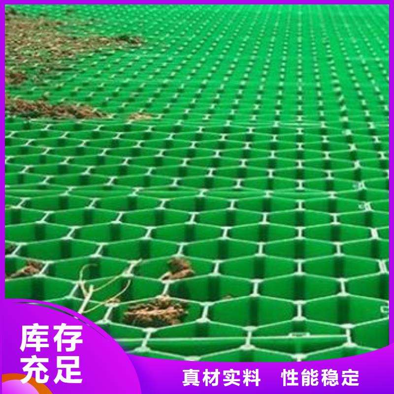 塑料植草格厂家代理商
