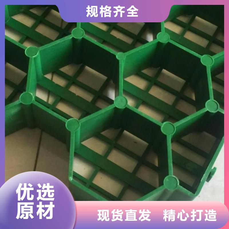 植草格厂家-批发价