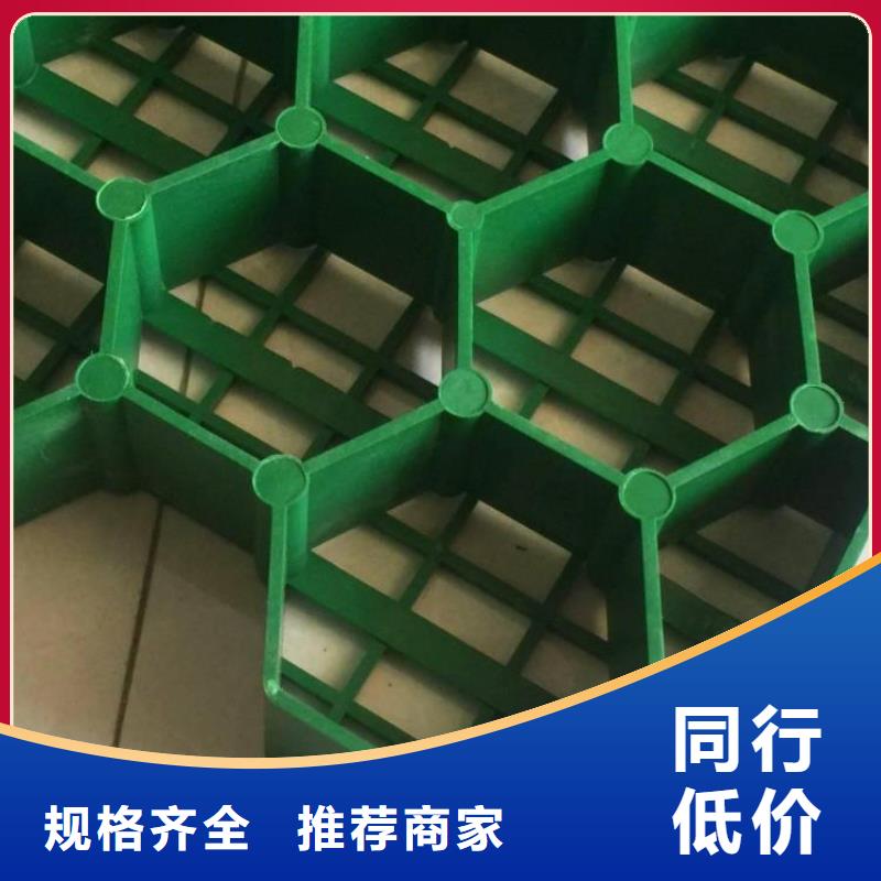 植草格厂家-批发价