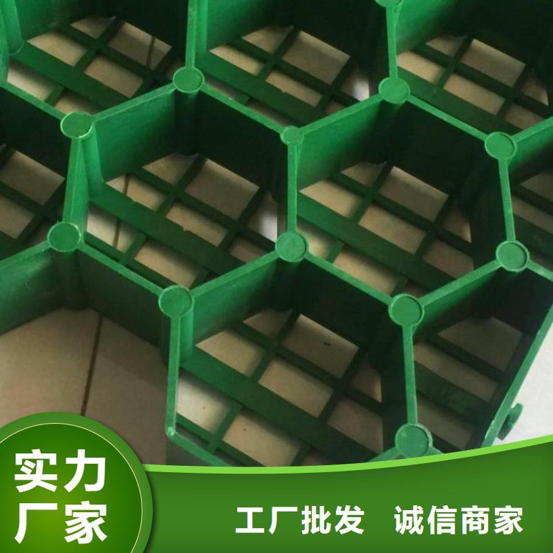 植草格2025报价