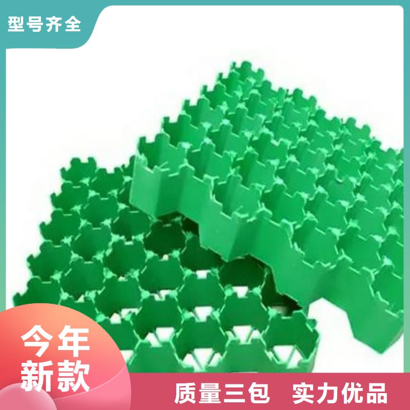塑料植草格供应