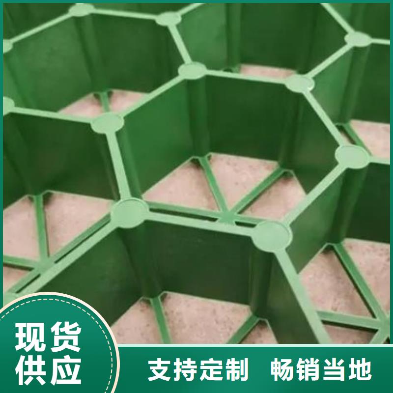 塑料植草格-联系方式